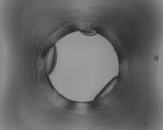 X0000114700233200911181325