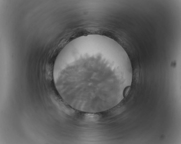 X0000114700234200911181325