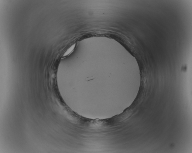 X0000114700235200911181325