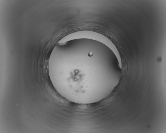 X0000114700237200911181325