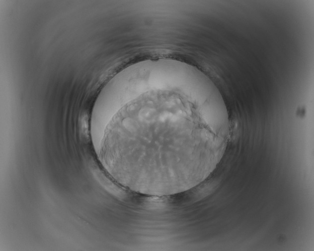 X0000114700238200911181324