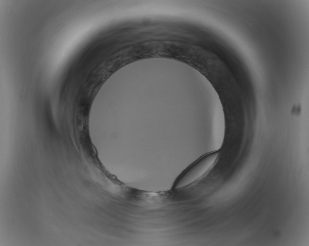 X0000114700239200911181324