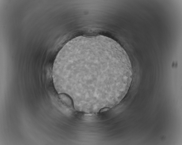 X0000114700240200911181324