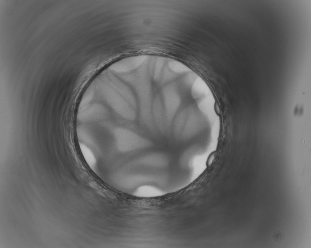 X0000114700241200911181324