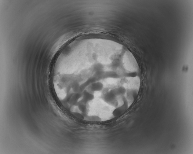 X0000114700242200911181324