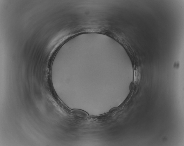 X0000114700243200911181324