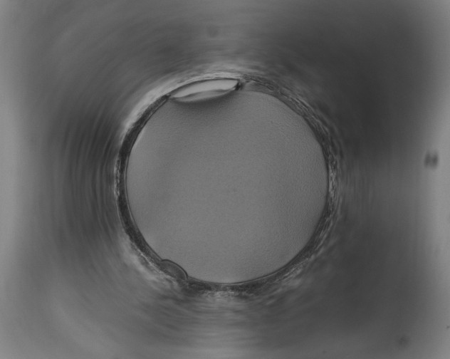 X0000114700244200911181324