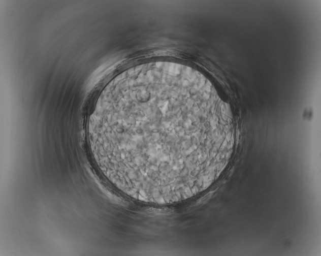 X0000114700245200911181324