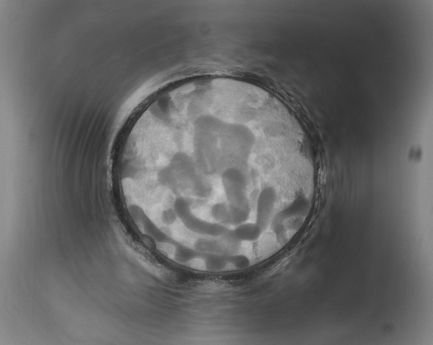 X0000114700246200911181324