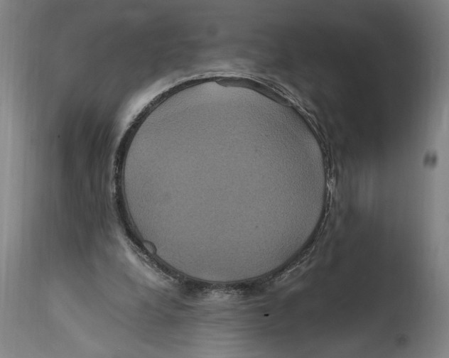 X0000114700248200911181324