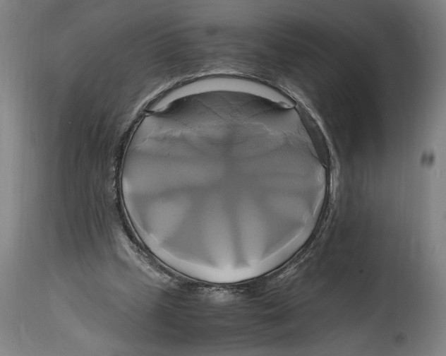 X0000114700249200911181324