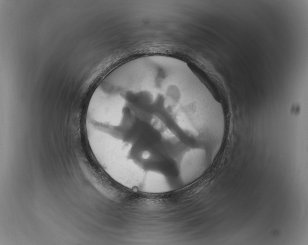 X0000114700250200911181324