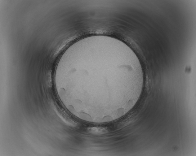 X0000114700251200911181324