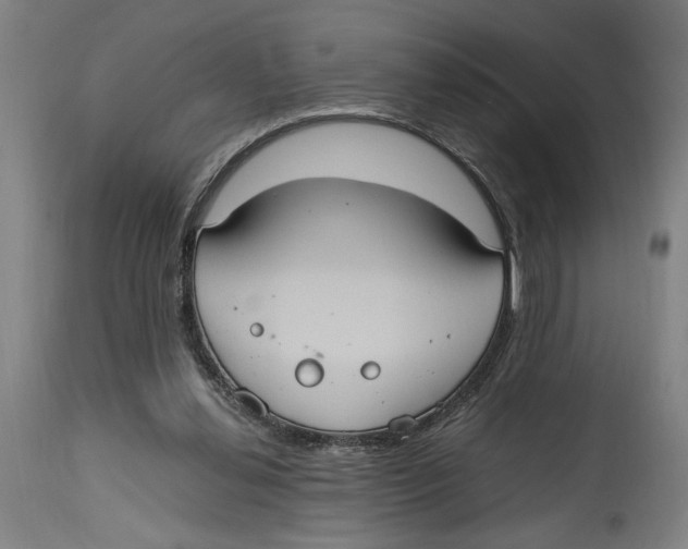 X0000114700252200911181324