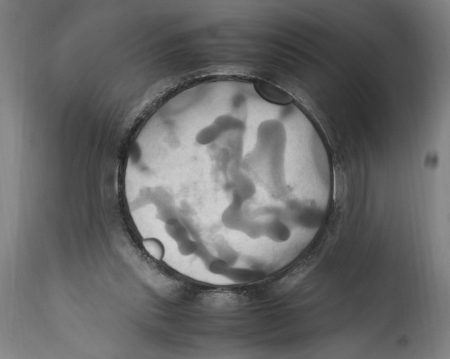 X0000114700253200911181324