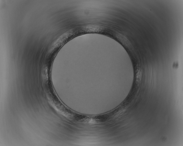 X0000114700254200911181324