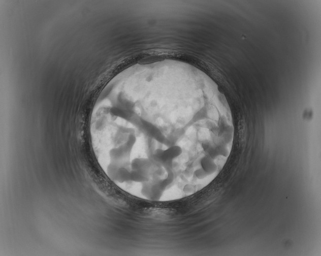 X0000114700255200911181324