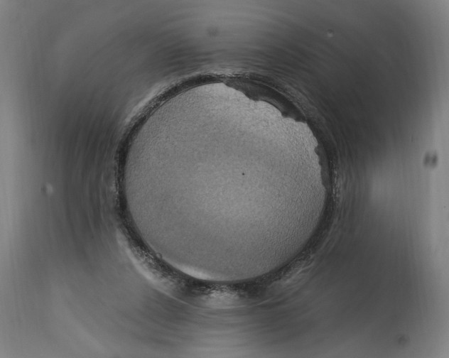 X0000114700256200911181324