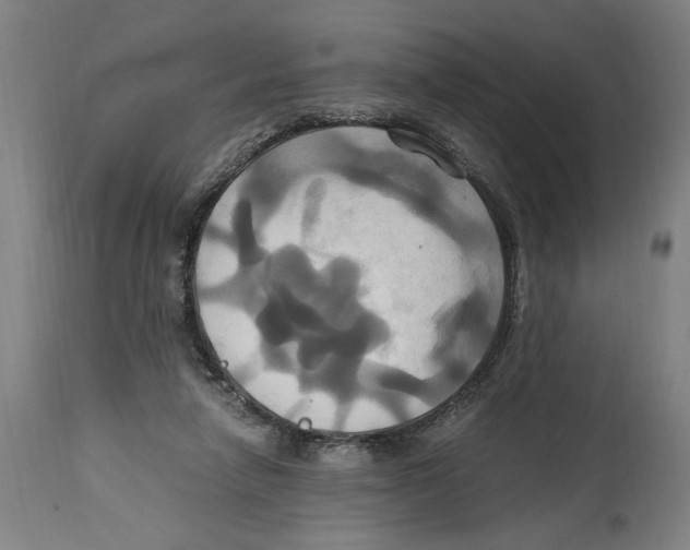 X0000114700258200911181324