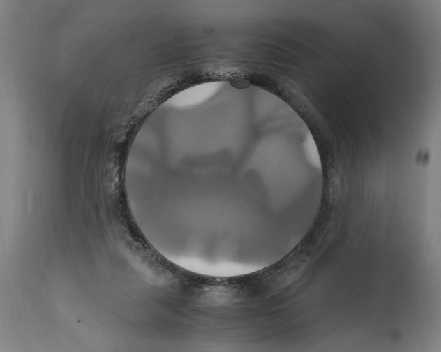 X0000114700259200911181324