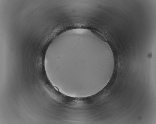 X0000114700260200911181324