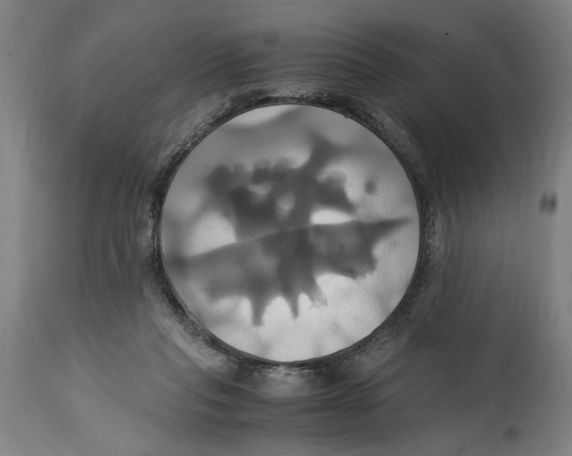 X0000114700261200911181324