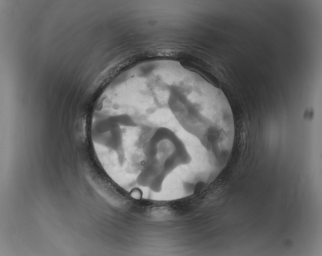 X0000114700262200911181324