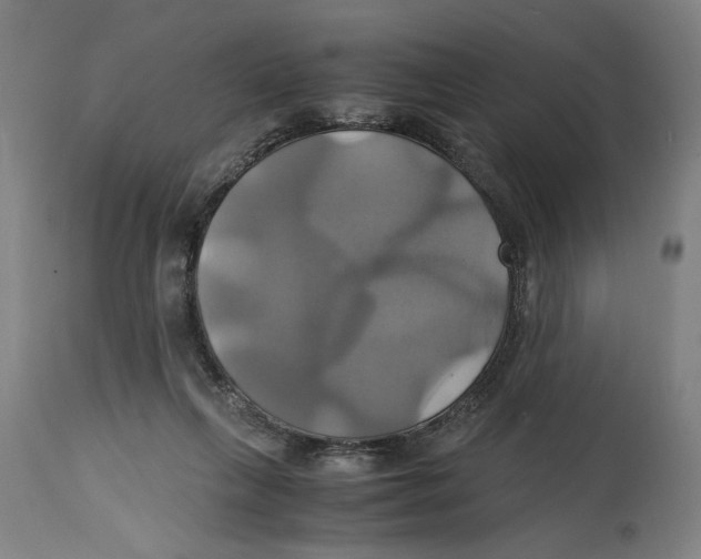 X0000114700263200911181324