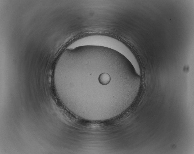 X0000114700264200911181324