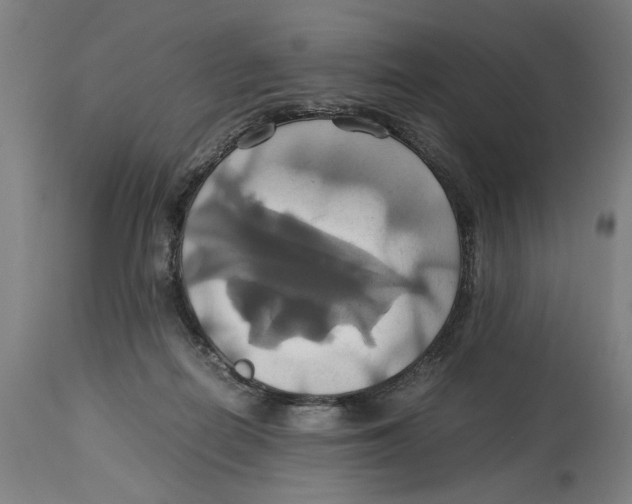 X0000114700266200911181324