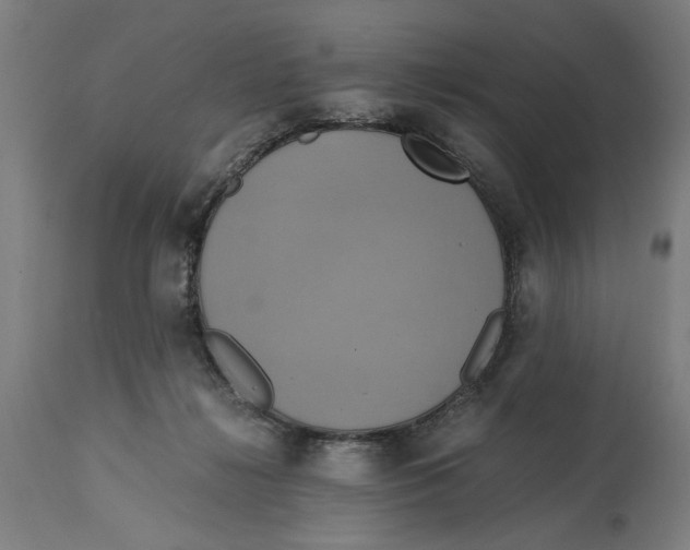 X0000114700268200911181324