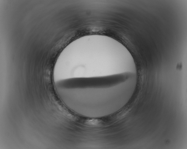 X0000114700269200911181324