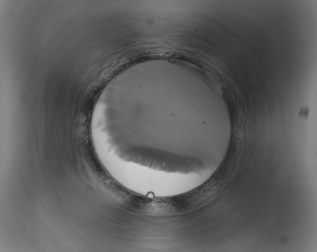 X0000114700270200911181324