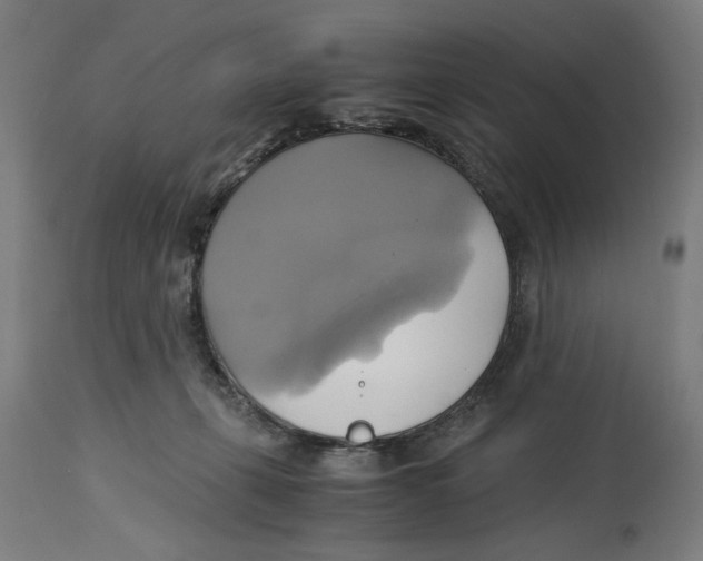 X0000114700271200911181324