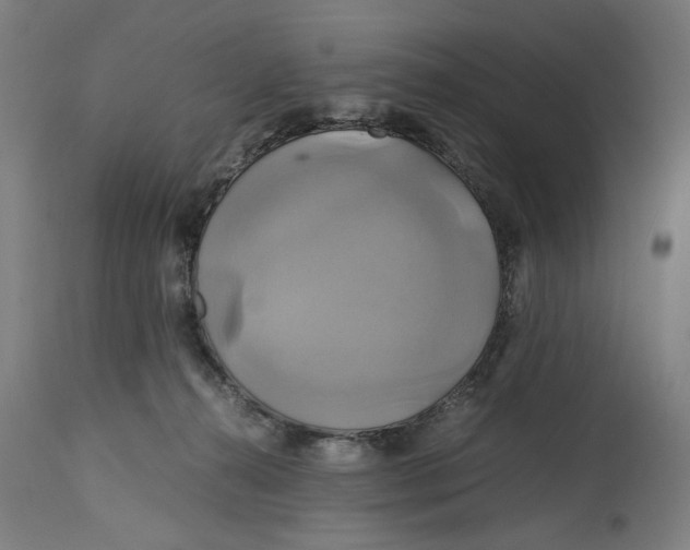 X0000114700272200911181324