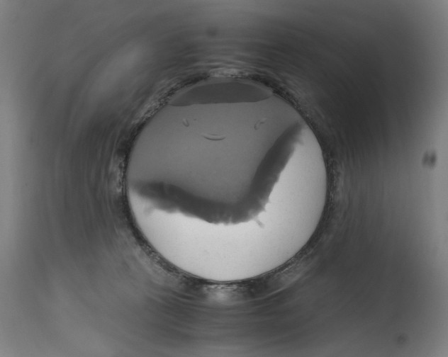 X0000114700273200911181324