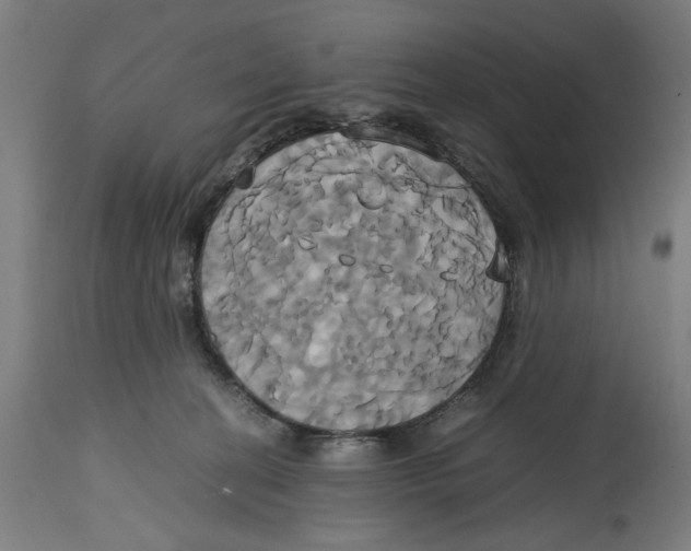 X0000114700274200911181324