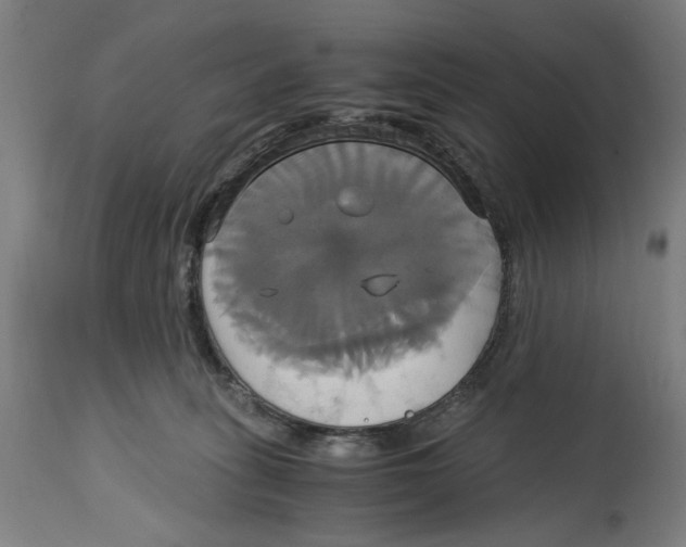 X0000114700275200911181324