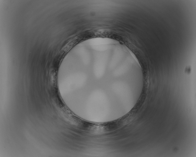 X0000114700276200911181324