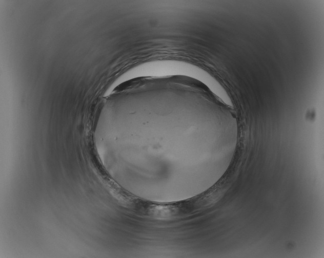 X0000114700277200911181324