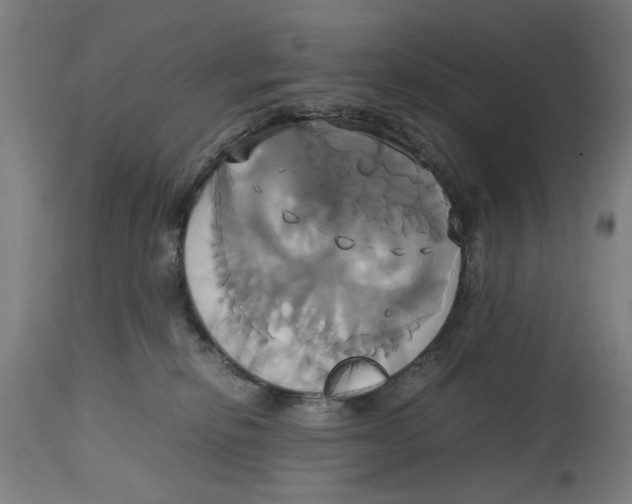 X0000114700278200911181324