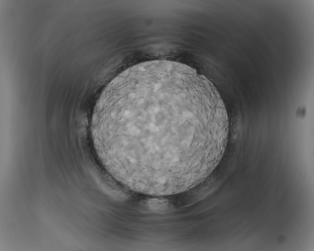 X0000114700279200911181324