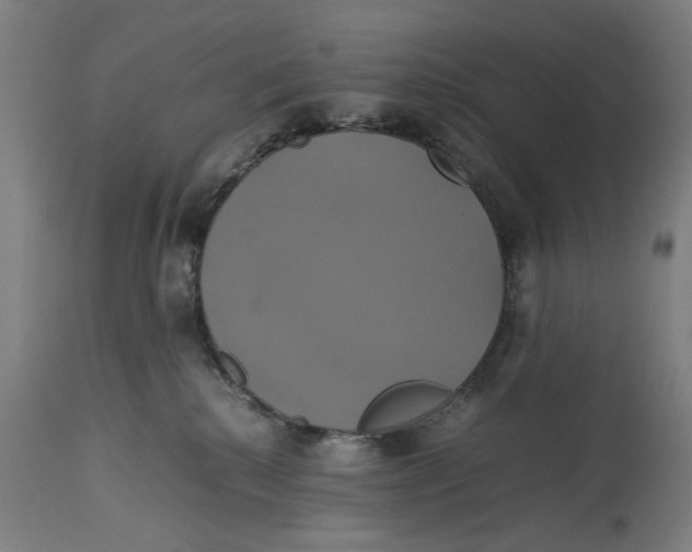 X0000114700280200911181324