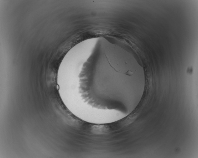 X0000114700281200911181324