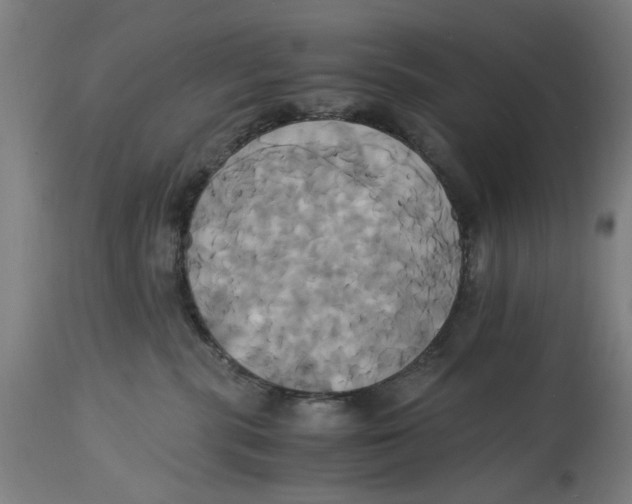 X0000114700283200911181324