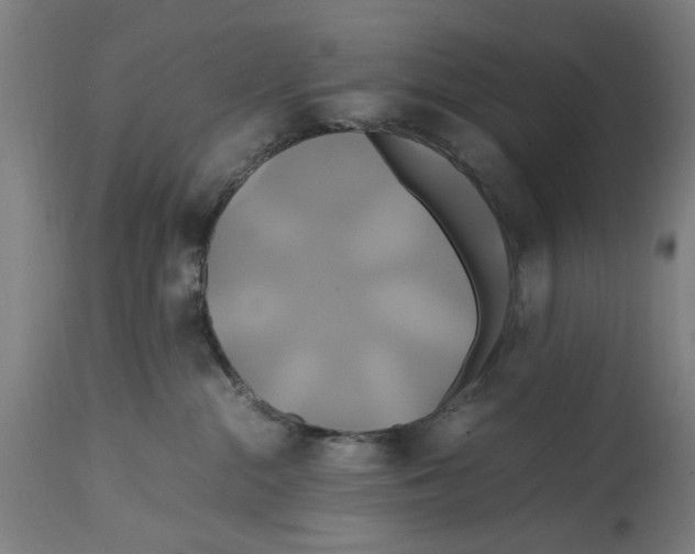 X0000114700284200911181324