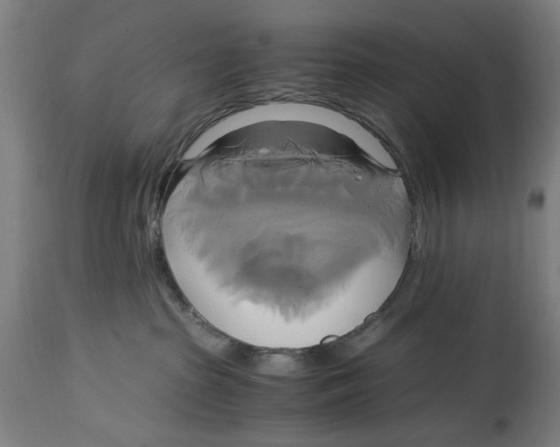 X0000114700285200911181324