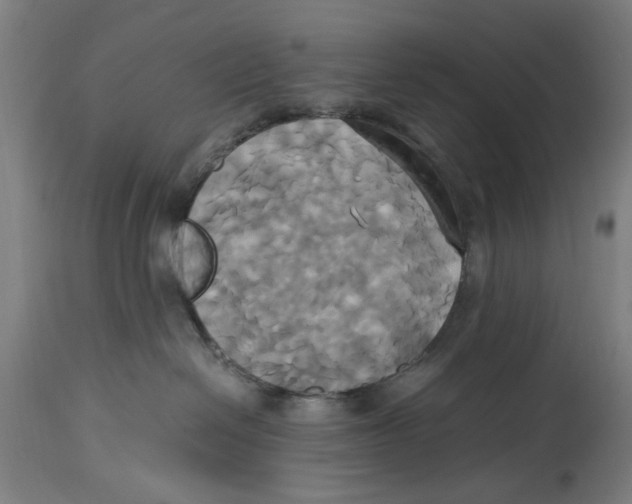 X0000114700286200911181324