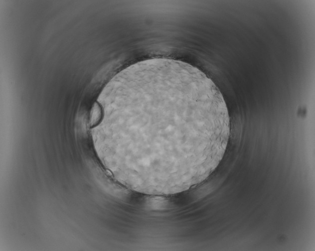 X0000114700287200911181324