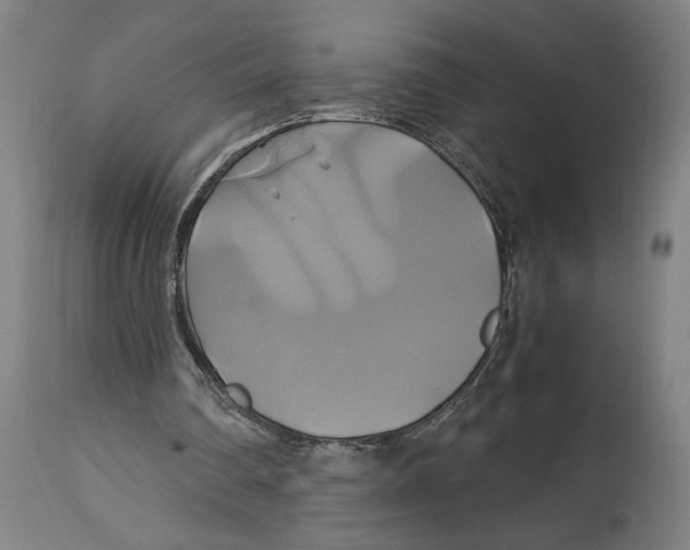 X0000114700290200911181324